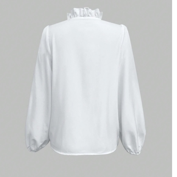 Classic White Solid Ruffle detail V neck Long sleeve Top - Picture 2 of 5